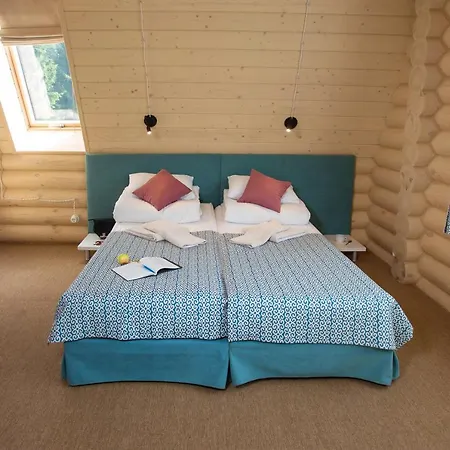 Country house тростян Slavske