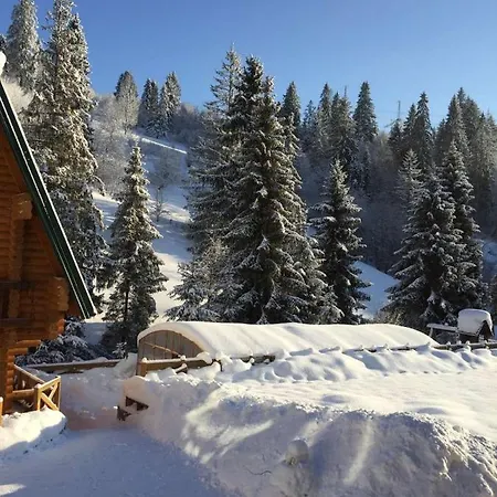 тростян Country house Slavske
